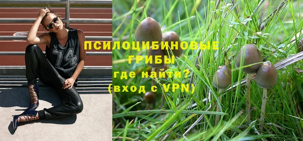 мдпв Горно-Алтайск