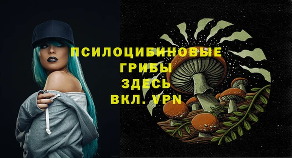 мдпв Горно-Алтайск