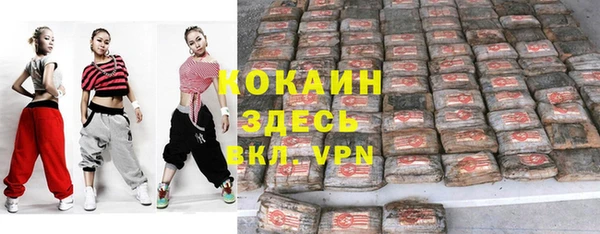 PSILOCYBIN Покров